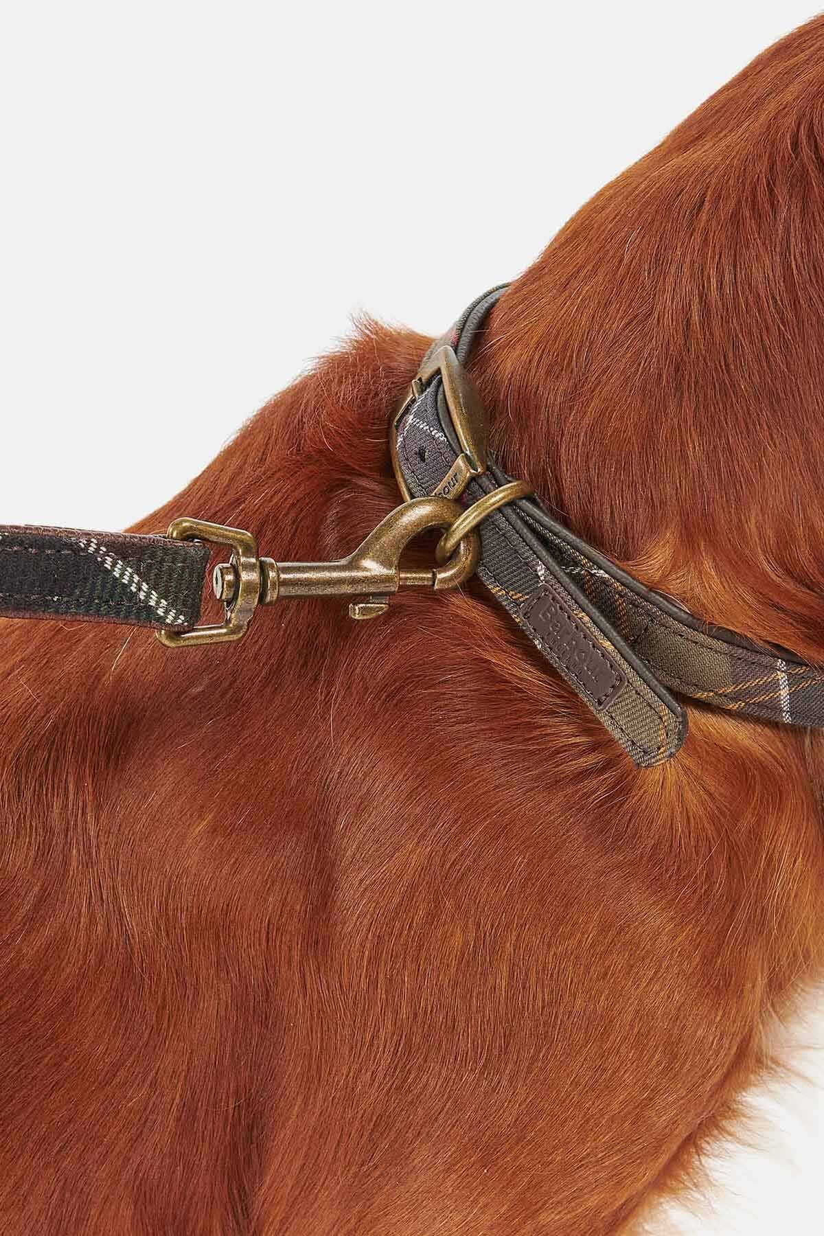 Schottlandkaros-Hundehalsband