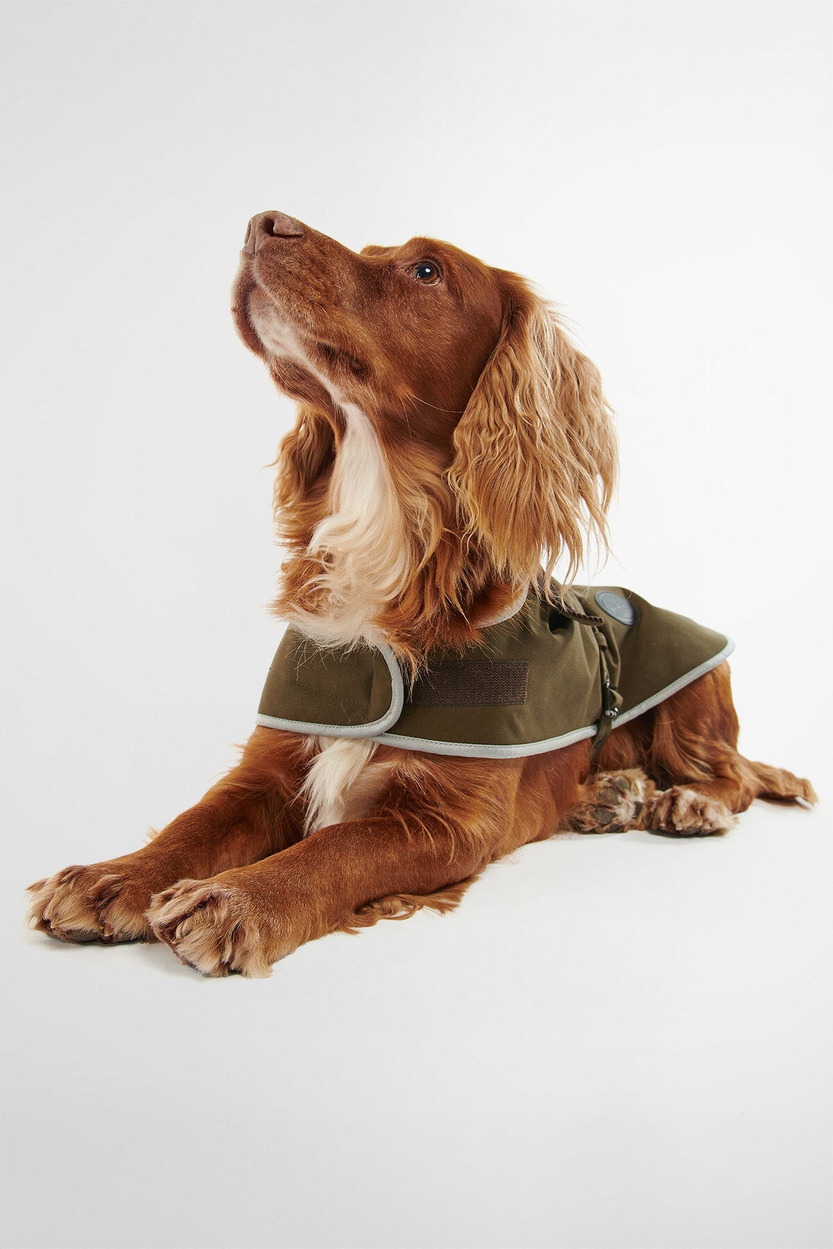 Wasserdichter Hundemantel