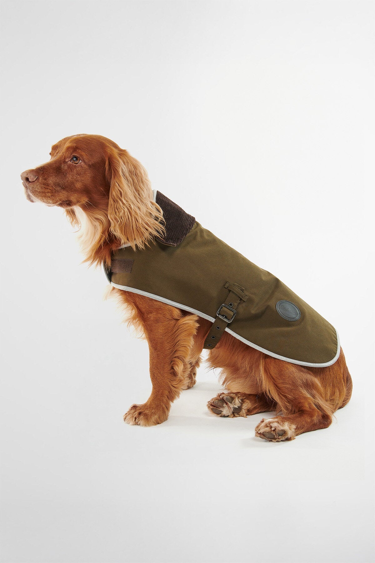 Wasserdichter Hundemantel