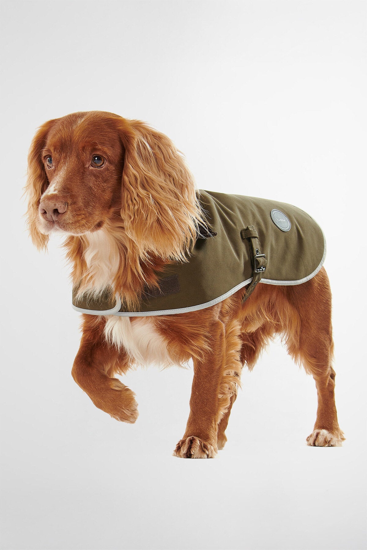 Wasserdichter Hundemantel