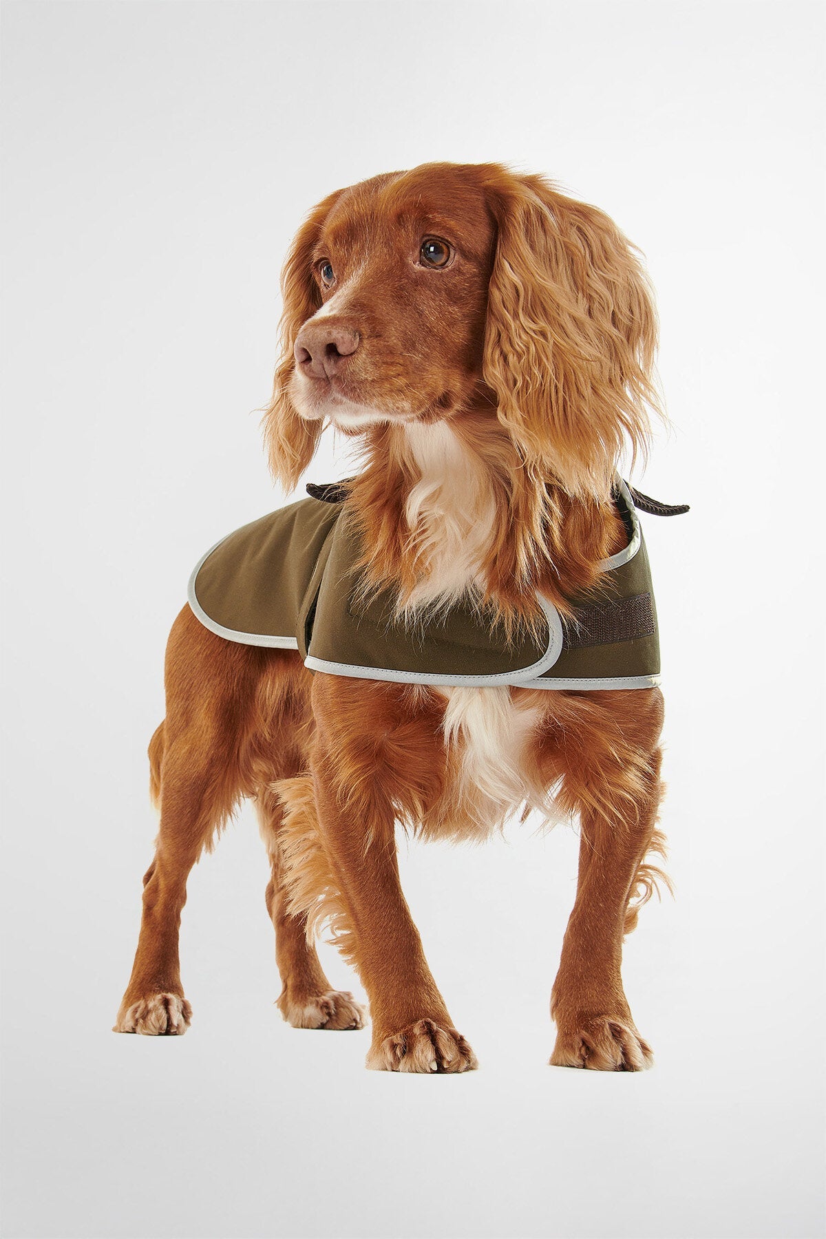 Wasserdichter Hundemantel